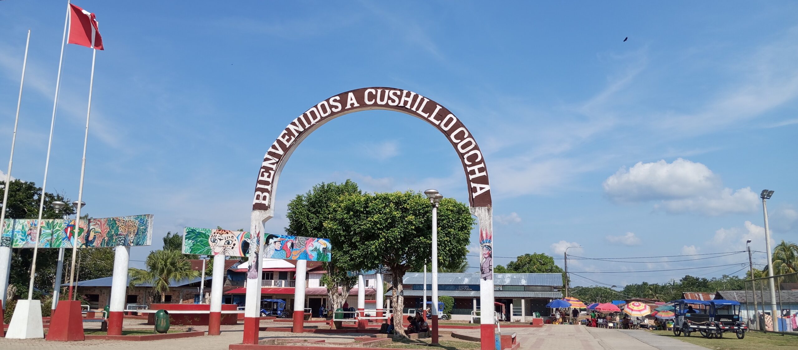 1730222248020 Fotografía tomada por Alejandro Prieto Cushillococha (Loreto- Perú) 2024